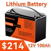 12V 100Ah Lithium Battery Iron LiFePO4 Solar Boat BMS Camping Marine Phosphate