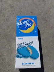 Moonpie Mini Blueberry Flavored Marshmallow Snack Pies
