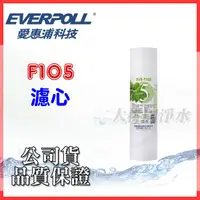 在飛比找蝦皮購物優惠-大桃園淨水 ~ 愛惠浦EVERPOLL-10英吋標準型 5微