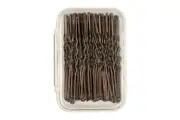 Beauty Theory Brown Fringe Pins