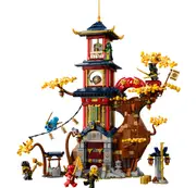 [Lego] Temple of the Dragon Energy Cores