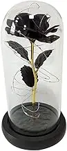 Long-Lasting Durability Rose Dome for Wedding Decors Elegant ABS Artificial Flowers Day Decoration Christmas, Black, 220V, 3 Leaves, Warm Light