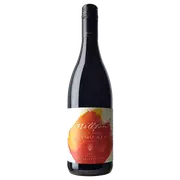 2018 Millton Cosmo Red Malbec Blend - Buy Online | The Wine Collective Marketplace