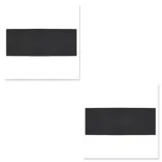 2 X CARBON FILTERS SUITS SMEG AND OMEGA RANGEHOODS 480MM X 160MM X 10MM CF3061