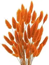 Uieke 17’’ Natural Bunny Tails Dried Flowers, 50 Pcs Dried Lagurus Ovatus, Dried Pampas Grass for Flower Arrangements Wedding Centerpieces Home Boho Baby Shower Party Fall Decorations (Orange)