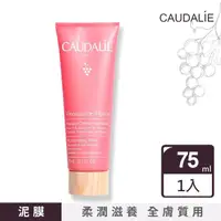 在飛比找momo購物網優惠-【Caudalie 歐緹麗】保濕面膜 75ml