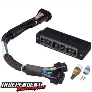 Elite 2000/2500 Plug 'n' Play Adaptor Harness Kit (HT-141249) | Haltech