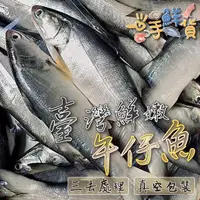在飛比找momo購物網優惠-【一手鮮貨】台灣鮮嫩午仔魚(2尾組/單尾400g/三去處理/