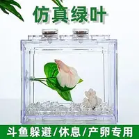 在飛比找Yahoo!奇摩拍賣優惠-Y【新莊/五股/青島】F384鬥魚 休息葉 產卵葉 產卵台 