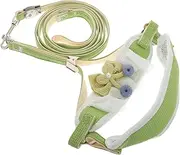 Dog Walking Harness Small Puppy and Medium Dog Harness Breathable Comfortable and Leash for Outdoor Adventures