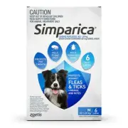 Simparica for Medium Dogs 10.1-20kg Flea & Tick Treatment