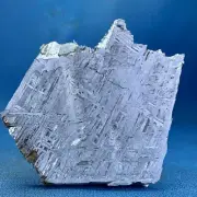 323.8g Aletai iron meteorite slab MC094
