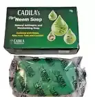 2X ANTI SCABIES KILLS MITES AND EGGS COMPLETE ERADICATION NEEM SOAP BATHING