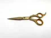 Professional 6.0" Hair Cutting Beauty Barber GOLD Styling Shears Scissors NEW