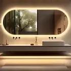 Oval LED Bathroom Mirror Backlit Lighted Mirror Clear Imaging Explosion-proof