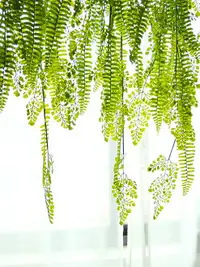 在飛比找樂天市場購物網優惠-仿真垂吊綠植波斯蕨類植物吊飾懸掛藤條藤蔓吊籃壁掛陽臺櫥窗裝飾