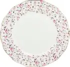 Royal Albert Rose Confetti Dinner Plate, 10.5" Bone China Pink Multi