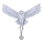 Nemesis Now Awaken your Magic Anne Stokes Wall Plaque 45cm White, Resin, One Siz