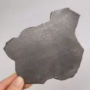 64g NWA Chondrite Meteorite slice AB98