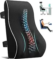 Lumbar Support Pillow for Office Chair Back Support Pillow for Car, Computer, Gaming Chair, Recliner Memory Foam Back Cushion for Pain Relief Improve Posture, Mesh Cover Double Adjustable Straps
