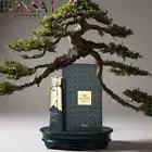 Sultan The Founder by Fragrance World is a Oriental Woody fragrance for unisex