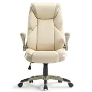 Eureka OC11 Ergonomic Office Chair (White)