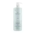 Paul Mitchell Awapuhi Wild Ginger Shampoo Deep Condition 33.8 Fl Oz Color Safe