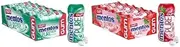 Mentos Gum Spearmint & Strawberry