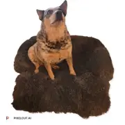 Dog Calming Bed Fluffy Plush Mat for Dogs with Furniture Protector.