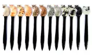 Hand Painted Art Siamese Gray Brown Black White Cat Letter Openers