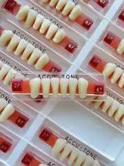 Acrylic Resin False Teeth Accu-tone Anterior lower A3/67-2P dentures box 120pcs
