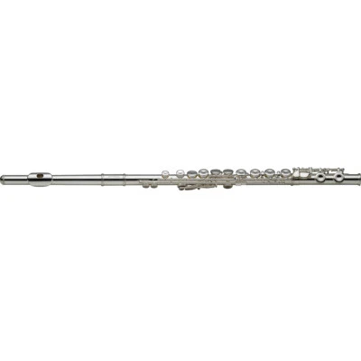 Stagg WS-FL231 C-Flute w/ Case, Closed-Hole Keys, Offset, Silver Plated