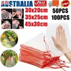 Fruit Plant Fly Protection Bags Exclusion Net Storage Mesh Stop Pest Bug 50/100X