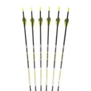 V1 350 400 450 500 600 700 800 900 Carbon Arrows Points Pin Compound Bow Longbow