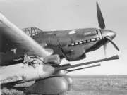 WW II German Photo . ---- Stuka Ju 87 - Tank Buster Guns