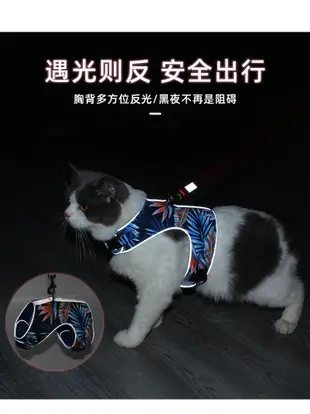 【PetBaby寵物精靈】新款貓咪外出牽引繩 反光夜間遛貓胸背帶 網格透氣花色寵物胸背