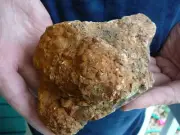 DF843-99) Fossil REAL DINOSAUR POOP Coprolite Dino Valley Utah DUNG Poo