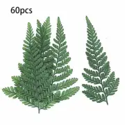 60Pcs Dried Green Fern Herbarium for DIY Jewelry Postcard Invitation Card8364