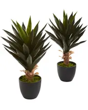 Nearly Natural Set of 2 Agave Artificial Plants