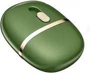 Identity Protection Roller Stamps - Wide Identity Theft Protection Stamp for ID Blockout Privacy Confidential and Address Blocke (Green)