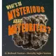 What’s So Mysterious About Meteorites