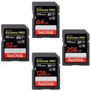 SANDISK EXTREME PRO 200MBs SD SDHC SDXC FLASH MEMORY CARD 256GB 128GB 64GB 32GB