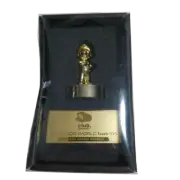 Super Mario Gold Statue Figure Platinum Member Memorial Club Nintendo New