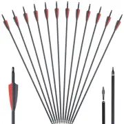 Carbon Arrows for Archery Bow 31.5 Inch ID 6.2Mm Arrows for Hunting Bow Shooting
