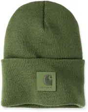 Carhartt Black Label Watch Hat, green for Men One Size