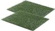 Pet Potty Training Pad Tray 69 x 43cm - 2 Grass Mat Only