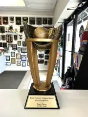 FANTASY BASEBALL TROPHY INDIVIDUAL AWARD FREE ENGRAVING MEDIUM P^TRB11 *