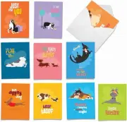The Best Card Company - 10 Assorted Blank Note Cards (M6586OCB), Multicolored