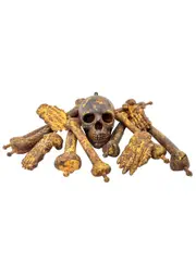 Bag of Human Skeleton Bones Halloween Decoration