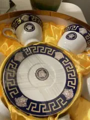Rosenthal Medusa Design Tea Cup And Saucer set of 12 piece Ceramic (open box)